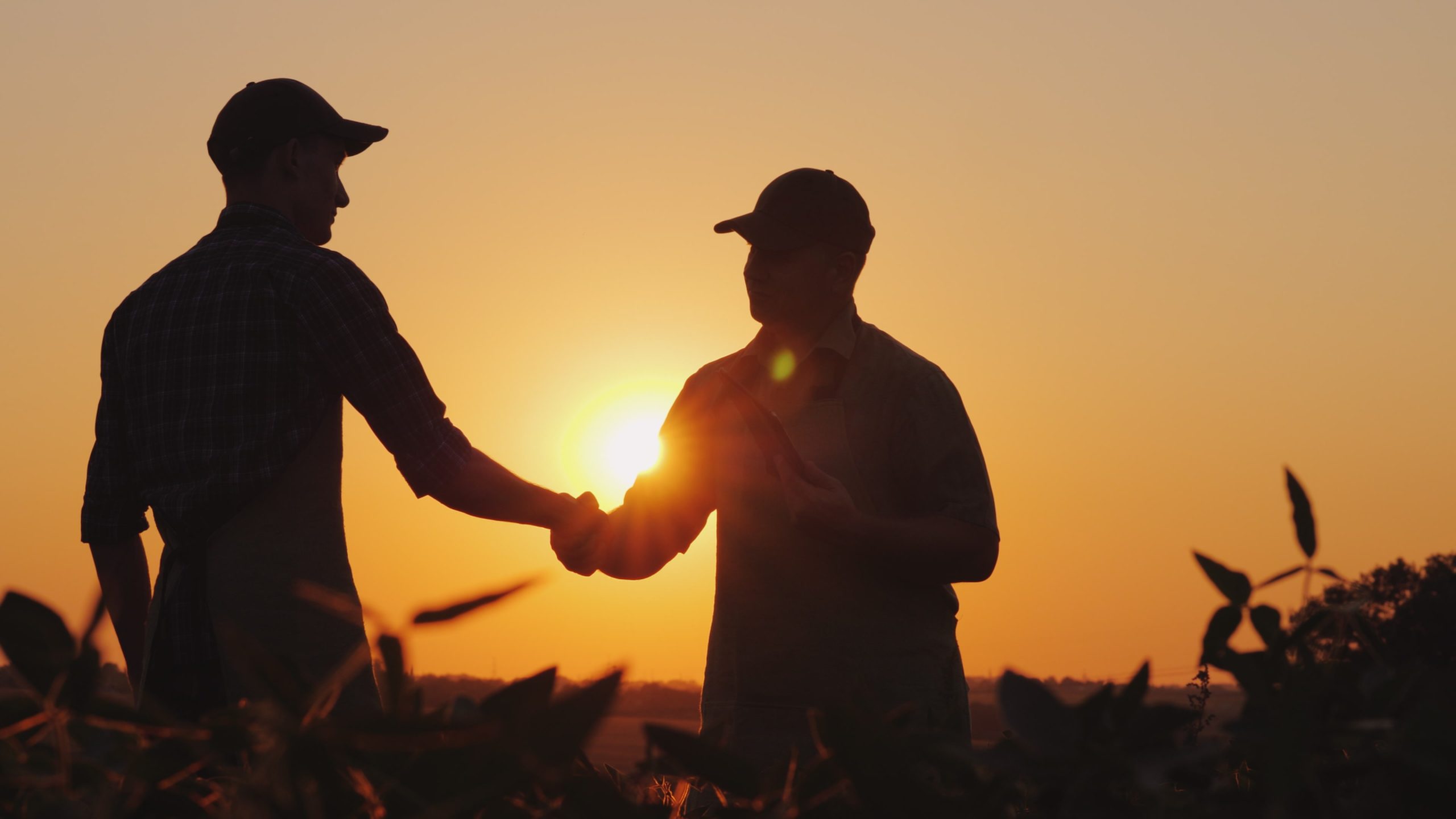 Two,Farmers,Talk,On,The,Field,,Then,Shake,Hands.,Use