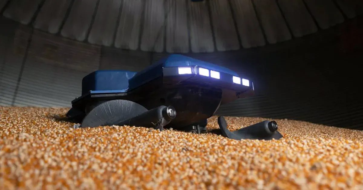 The Grain Weevil robot sitting in a corn bin